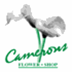 Camerons Flower Shop - Logo