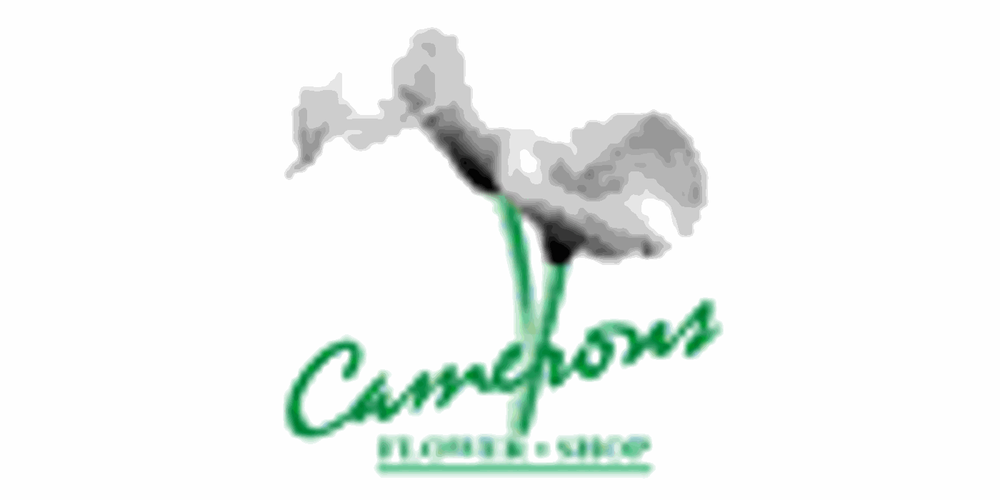 CAMERONS FLOWER SHOP Updated September 2024 683 Belmont Avenue W