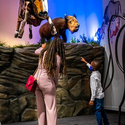 Glenbow Museum - Kent Monkman: The Rise and Fall of Civilization Installation
