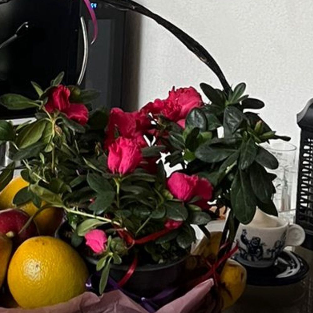 Are these flowers worth more than $100? Are these flowers worth more than $100?