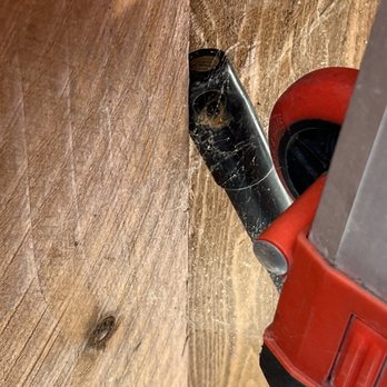 Orkin - And more - Pest Control Near Me - San Jose, California