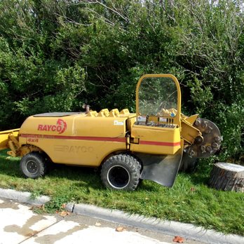 Avon Tree Service - Tree Services Near Me - Madison Heights, Michigan Avon Tree Service - Tree Services Near Me - Madison Heights, Michigan