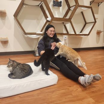 9 Whiskers Lounge - Themed Cafes Near Me - Katy, Texas