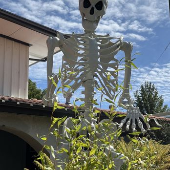 Moana Nursery - Landscaping Near Me - Reno, Nevada Moana Nursery - Landscaping Near Me - Reno, Nevada