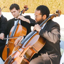 Enchanted Strings By Ashot Dumanyan - Los Angeles Orchestra for Hire