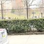 Photo of St Mary's Park
