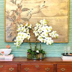 user provided Chez What photo