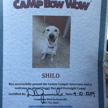 camp bow wow interview