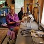Photo of A-Cut-Above Grooming Salon