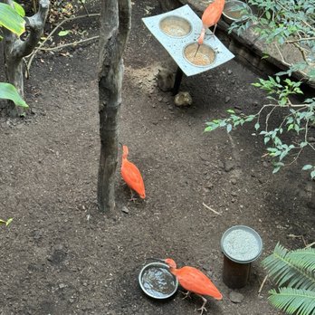 Bird Kingdom - Zoos Near Me - Niagara Falls, Ontario