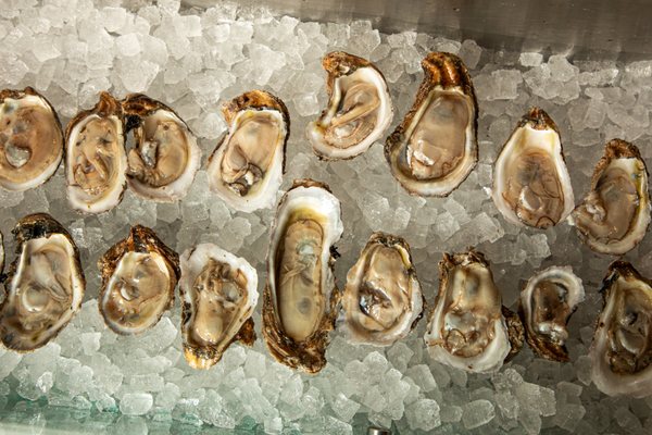 Maria's Oyster Bar by null