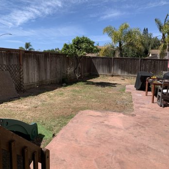 Pena Tree Service - After - Tree Services Near Me Pena Tree Service - After - Tree Services Near Me