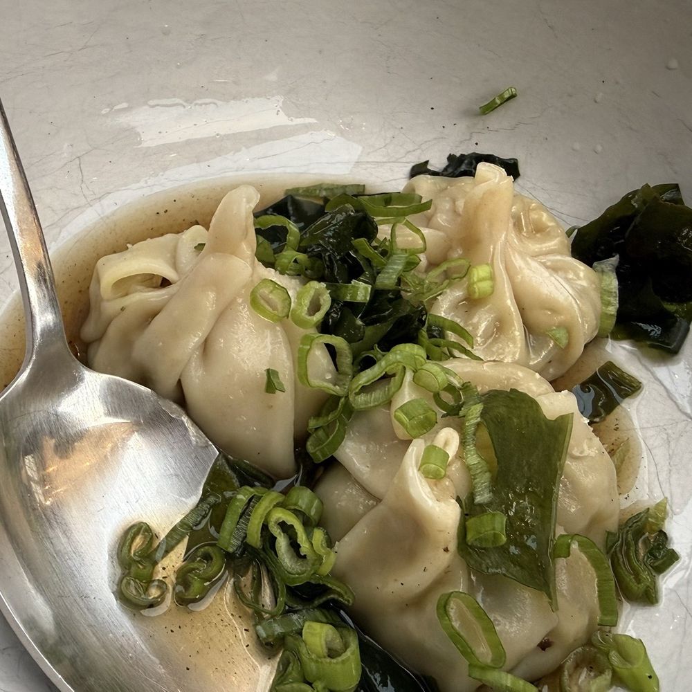 Kantina - Mushroom dumplings - Tacos Near Me - Sparkill, New York