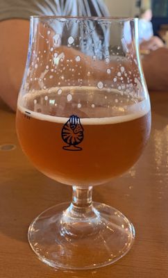 Aquatic Brewing by null