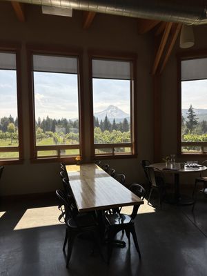 Grateful Vineyard by null