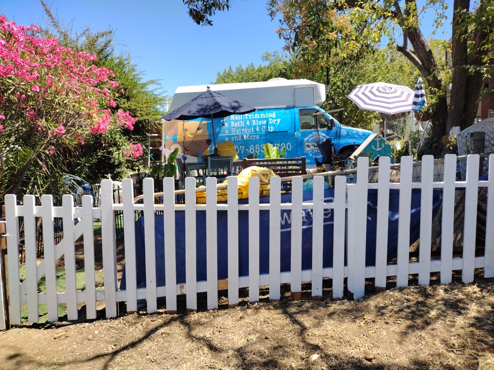 AT MY DOOR PET GROOMING Updated October 2024 13 Photos & 17 Reviews