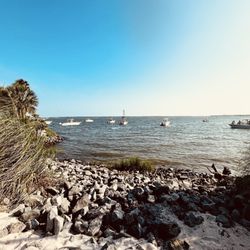 Party at the Point
