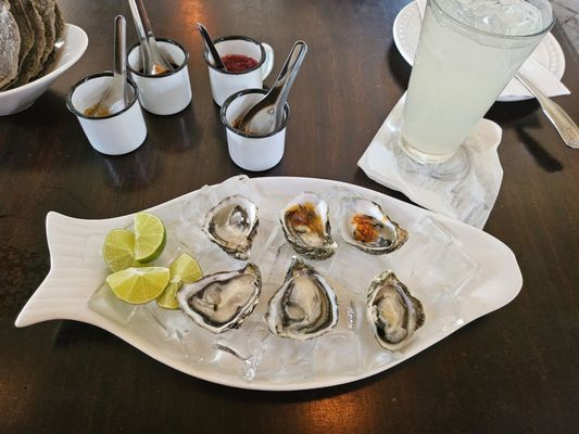 La Concheria by null