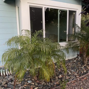 JT Replacement Windows - Windows Installation Near Me JT Replacement Windows - Windows Installation Near Me