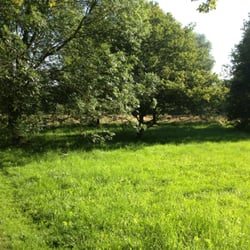 Brinker Park - Hundeauslauffläche im Brinker Park