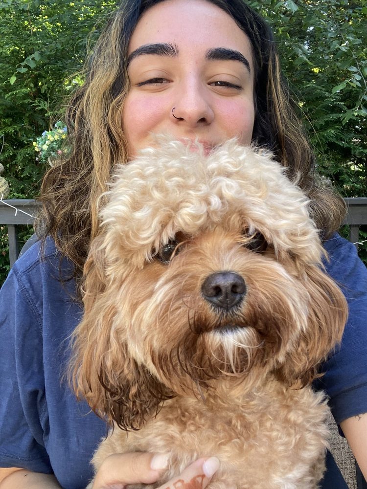 PETSITTING BY ATHENA Updated October 2024 35 Photos & 11 Reviews Allendale, New Jersey