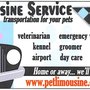 Photo of Pet Limousine Service