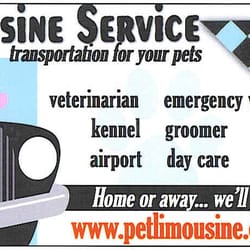 Pet Limousine Service