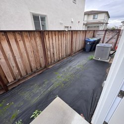 Citrine Landscape Company - DAY 0 BEFORE PHOTO