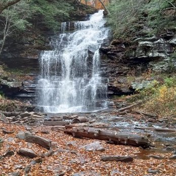 Ricketts Glen State Park - Falls Trail - Parks Near Me - Benton, Pennsylvania