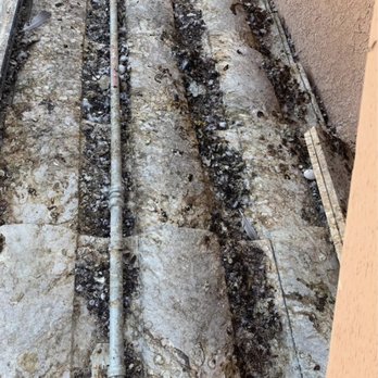 Maxx Force Pest Control - Yuk! - Pest Control Near Me Maxx Force Pest Control - Yuk! - Pest Control Near Me