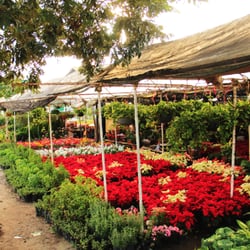 El Vivero de la 30