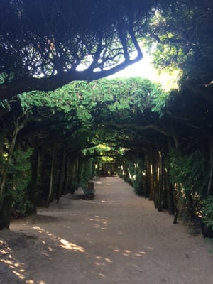 Château de Hautefort by null