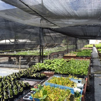 H & R Nurseries - Community pots - Nurseries & Gardening Near Me - Waimanalo, Hawaii