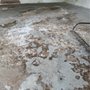 Lotis Construction