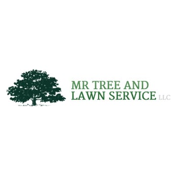 Mr Tree and Lawn Service - Tree Services Near Me - Alachua, Florida Mr Tree and Lawn Service - Tree Services Near Me - Alachua, Florida