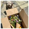 Hollywood Farmers' Market gift card