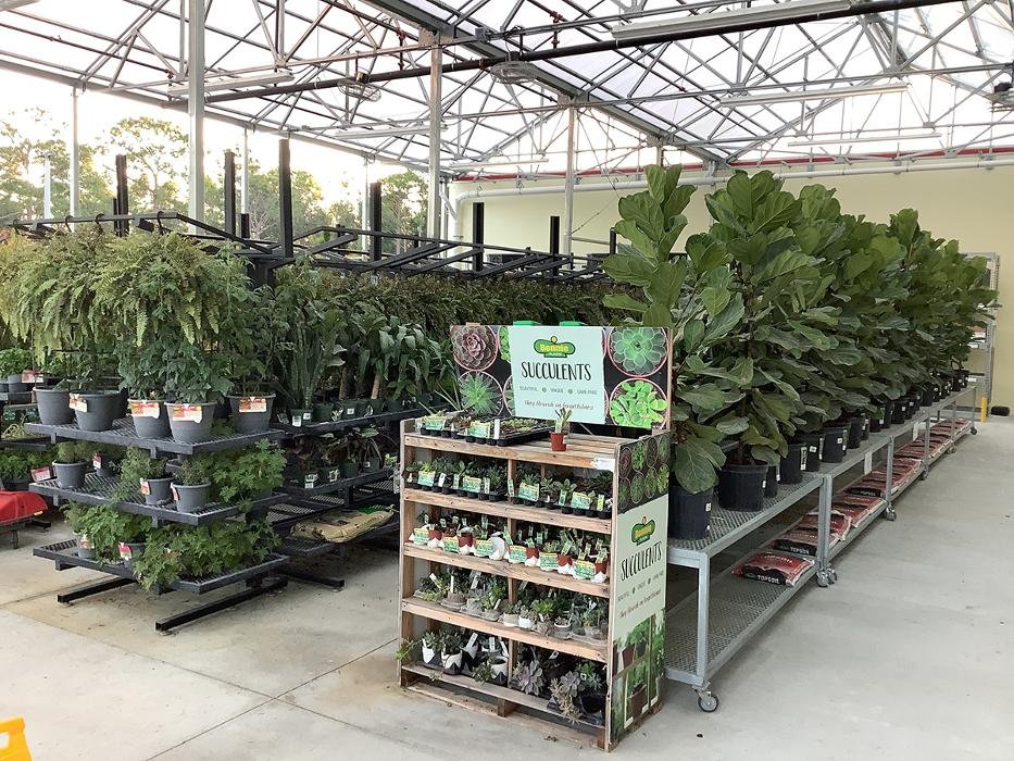 Tractor Supply Image