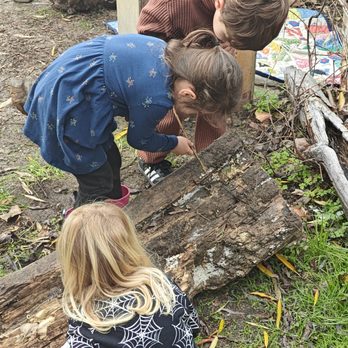 Sunshine Playschool - Learning about bugs and our environment. - Preschools Near Me - El Sobrante, California Sunshine Playschool - Learning about bugs and our environment. - Preschools Near Me - El Sobrante, California
