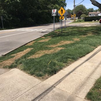 Emerald Magic Lawn Care - Burnt lawn from poor fertilizer ratio & looked like that the WHOLE SUMMER!!!! - Landscaping Near Me - Holtsville, New York Emerald Magic Lawn Care - Burnt lawn from poor fertilizer ratio & looked like that the WHOLE SUMMER!!!! - Landscaping Near Me - Holtsville, New York