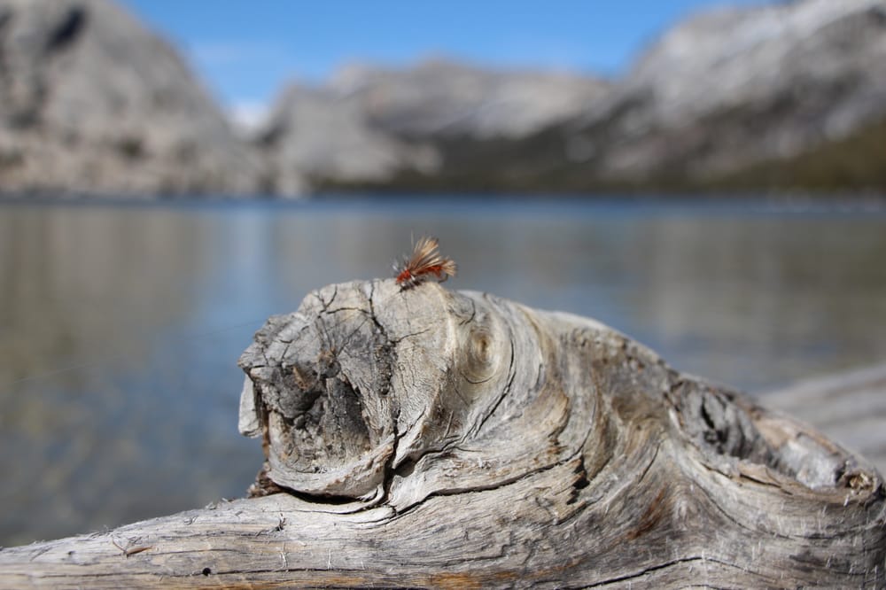 Yosemite Fly Fishing Guide, Yosemite Village Roadtrippers