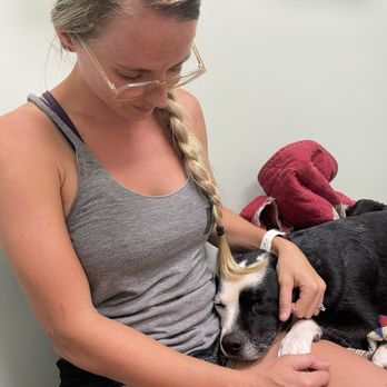 Sale vca petmed animal hospital on Sale