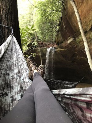 Daniel Boone National Forest by null