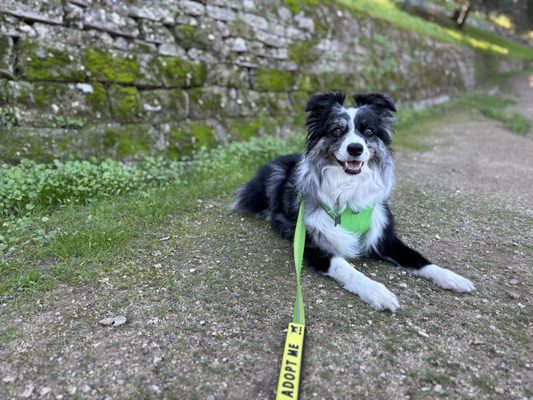 Brookside Park by null