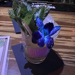 Mai Tai Mai Tai