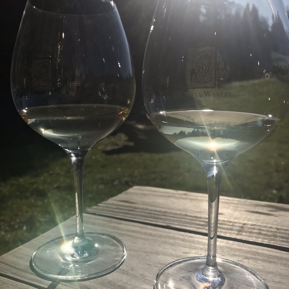 Hanging out on a gorgeous day with some Pinot Gris at the picnic benches