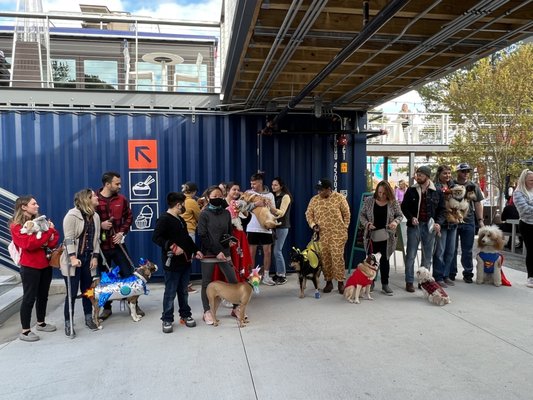 Boxyard RTP by null