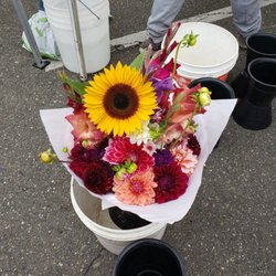 Port Orchard Farmers Market