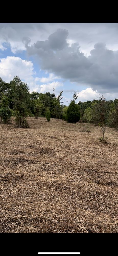 Welters Land Management And Dumpster Service