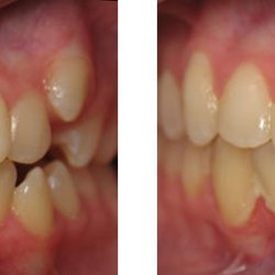 Wirtz Orthodontics