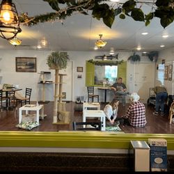 Papa's Cat Cafe